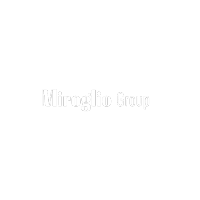 Miroglio Group logo carosello clienti
