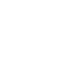 Leone logo carosello clienti