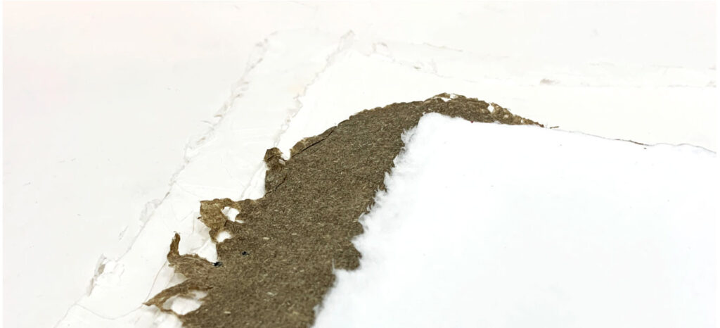 prodotti per retail ecosostenibili